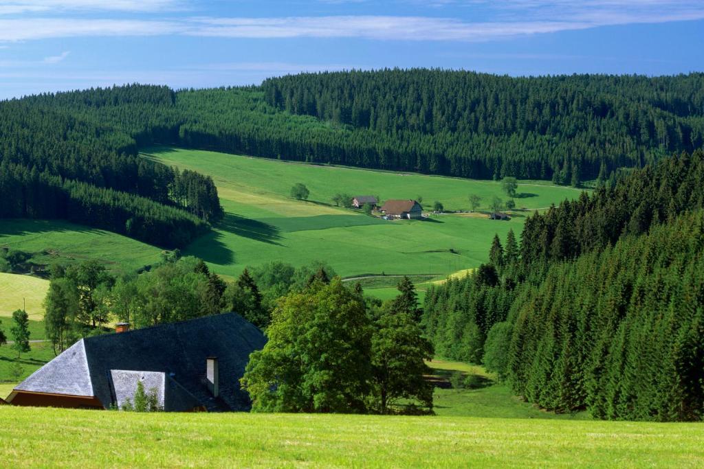 Gaestehaus Waldeck Titisee-Neustadt Kültér fotó