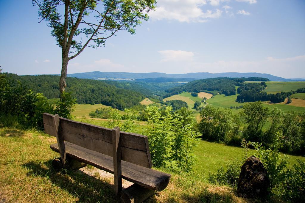 Gaestehaus Waldeck Titisee-Neustadt Kültér fotó